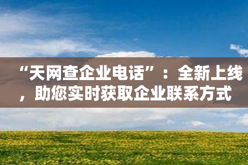 “天网查企业电话”：全新上线，助您实时获取企业联系方式