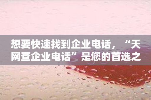 想要快速找到企业电话，“天网查企业电话”是您的首选之一