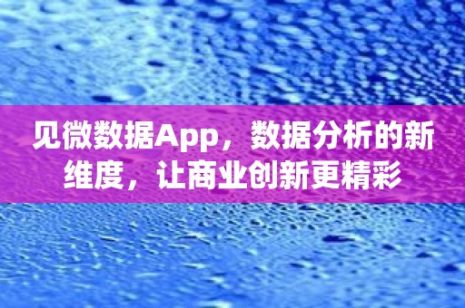 见微数据App，数据分析的新维度，让商业创新更精彩