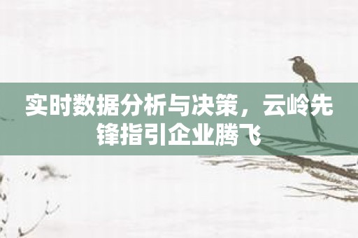 实时数据分析与决策，云岭先锋指引企业腾飞
