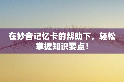 在妙音记忆卡的帮助下，轻松掌握知识要点！