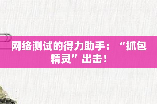 网络测试的得力助手：“抓包精灵”出击！