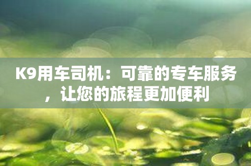 K9用车司机：可靠的专车服务，让您的旅程更加便利