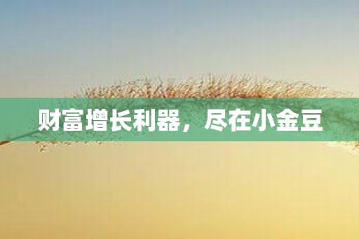 财富增长利器，尽在小金豆