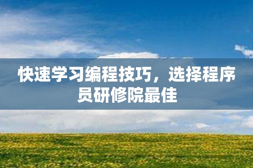 快速学习编程技巧，选择程序员研修院最佳