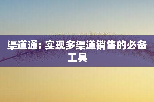 渠道通: 实现多渠道销售的必备工具