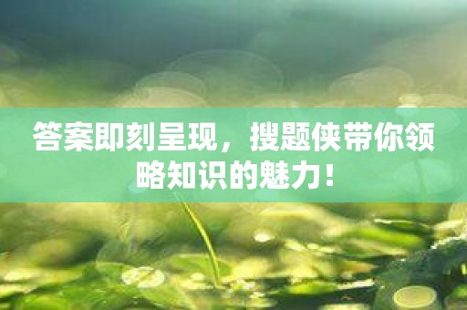 答案即刻呈现，搜题侠带你领略知识的魅力！