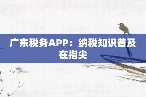 广东税务APP：纳税知识普及在指尖