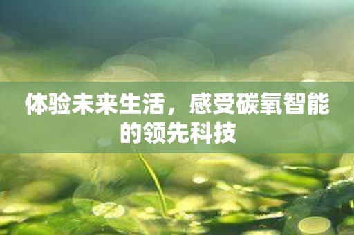 体验未来生活，感受碳氧智能的领先科技
