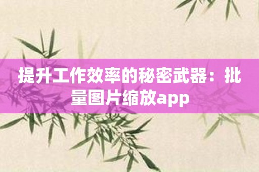 提升工作效率的秘密武器：批量图片缩放app