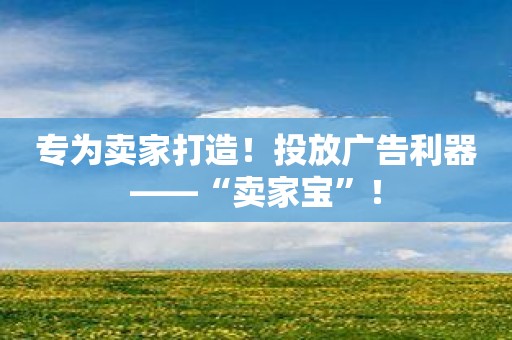 专为卖家打造！投放广告利器——“卖家宝”！