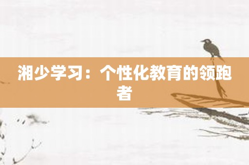 湘少学习：个性化教育的领跑者