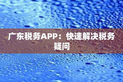 广东税务APP：快速解决税务疑问
