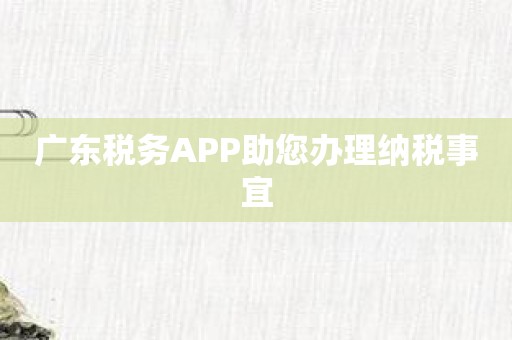 广东税务APP助您办理纳税事宜