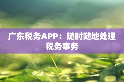 广东税务APP：随时随地处理税务事务