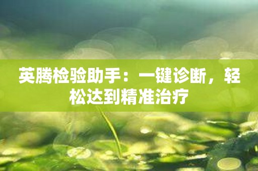 英腾检验助手：一键诊断，轻松达到精准治疗