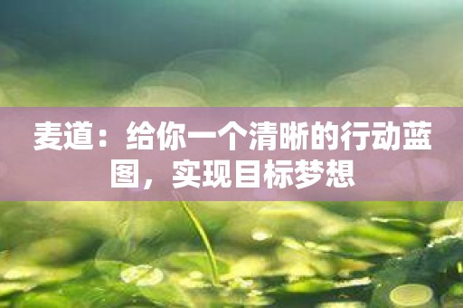 麦道：给你一个清晰的行动蓝图，实现目标梦想