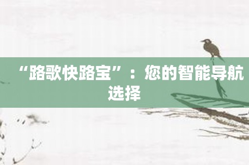 “路歌快路宝”：您的智能导航选择