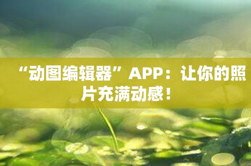 “动图编辑器”APP：让你的照片充满动感！