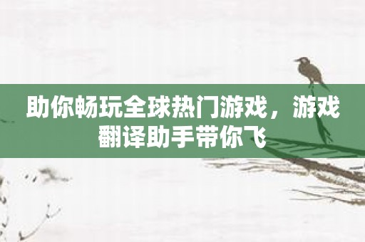 助你畅玩全球热门游戏，游戏翻译助手带你飞