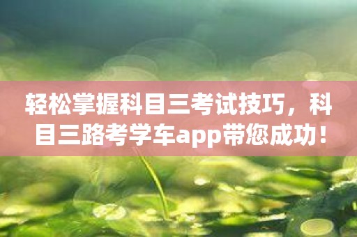 轻松掌握科目三考试技巧，科目三路考学车app带您成功！