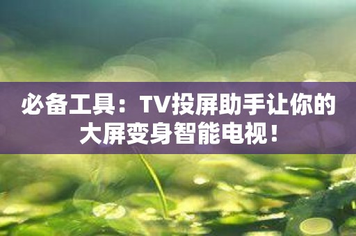 必备工具：TV投屏助手让你的大屏变身智能电视！