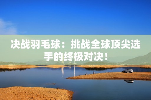 决战羽毛球：挑战全球顶尖选手的终极对决！