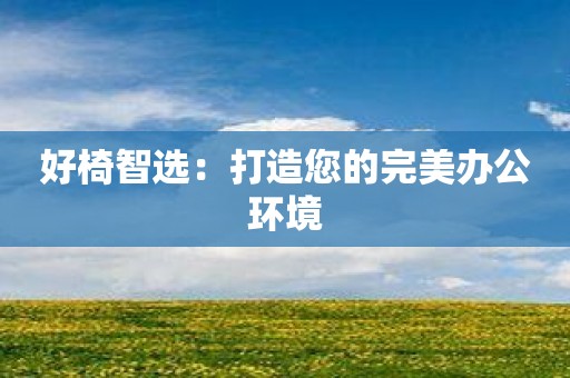 好椅智选：打造您的完美办公环境
