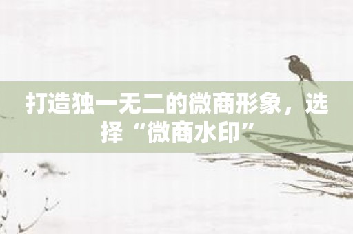 打造独一无二的微商形象，选择“微商水印”
