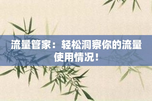 流量管家：轻松洞察你的流量使用情况！