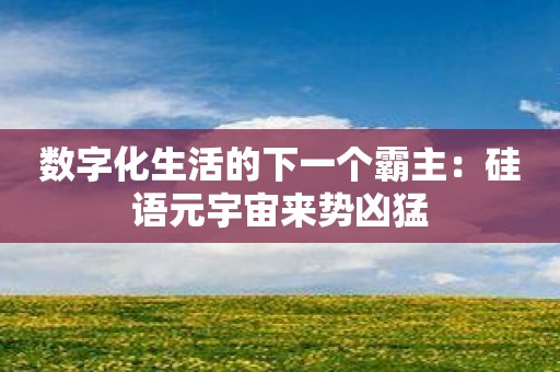 数字化生活的下一个霸主：硅语元宇宙来势凶猛