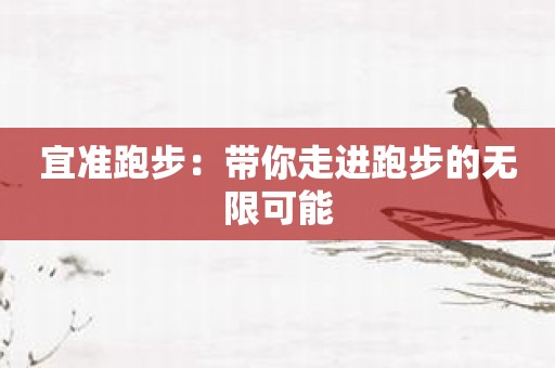 宜准跑步：带你走进跑步的无限可能