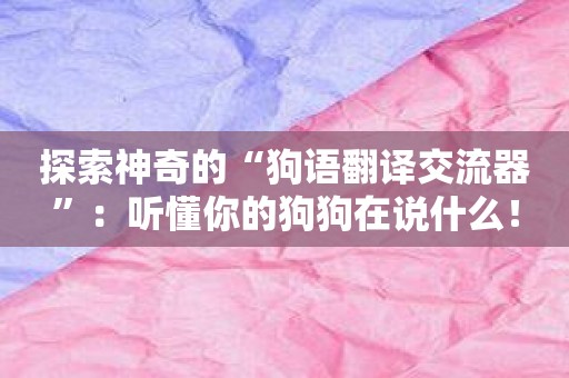 探索神奇的“狗语翻译交流器”：听懂你的狗狗在说什么！