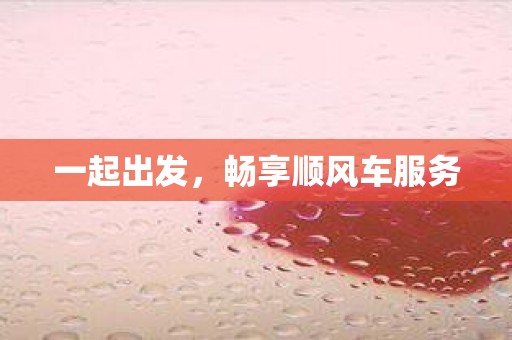 一起出发，畅享顺风车服务