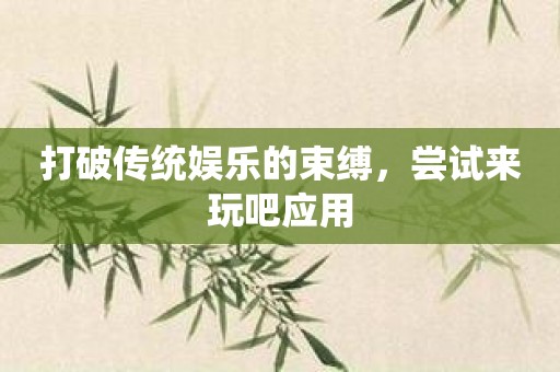 打破传统娱乐的束缚，尝试来玩吧应用