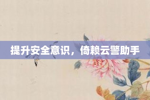 提升安全意识，倚赖云警助手