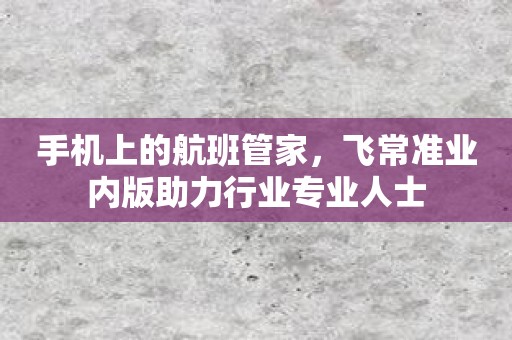 手机上的航班管家，飞常准业内版助力行业专业人士