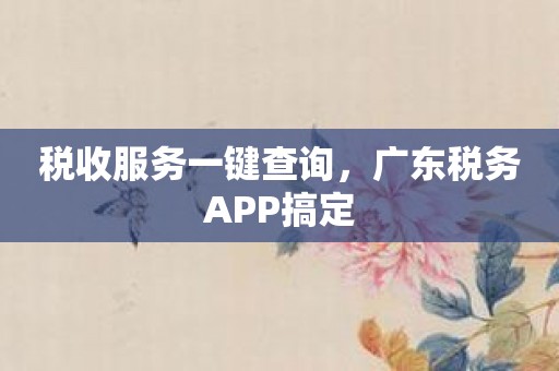 税收服务一键查询，广东税务APP搞定