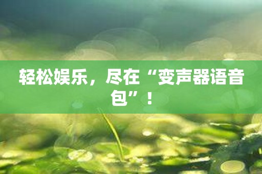 轻松娱乐，尽在“变声器语音包”！