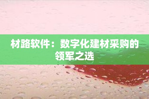 材路软件：数字化建材采购的领军之选