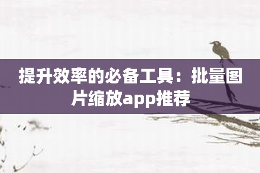 提升效率的必备工具：批量图片缩放app推荐