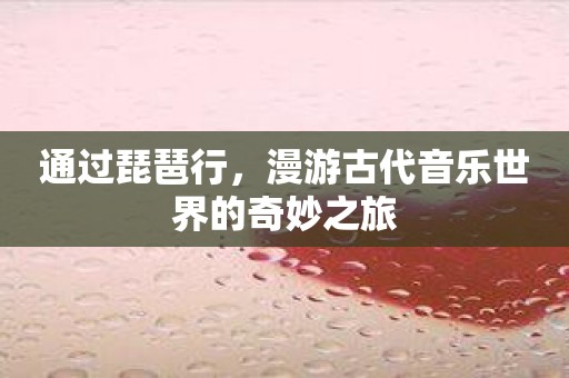 通过琵琶行，漫游古代音乐世界的奇妙之旅