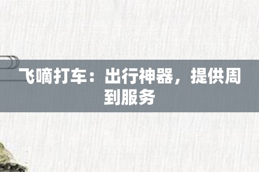 飞嘀打车：出行神器，提供周到服务