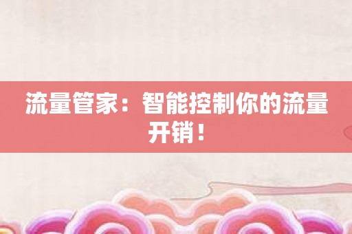 流量管家：智能控制你的流量开销！