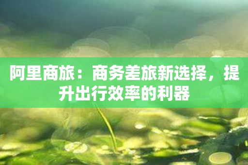 阿里商旅：商务差旅新选择，提升出行效率的利器