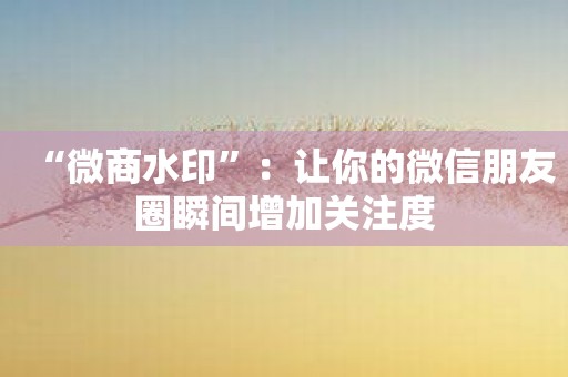 “微商水印”：让你的微信朋友圈瞬间增加关注度