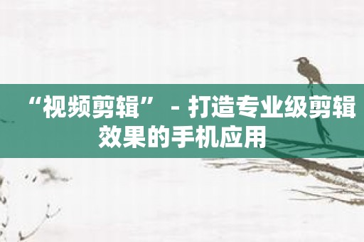 “视频剪辑” - 打造专业级剪辑效果的手机应用