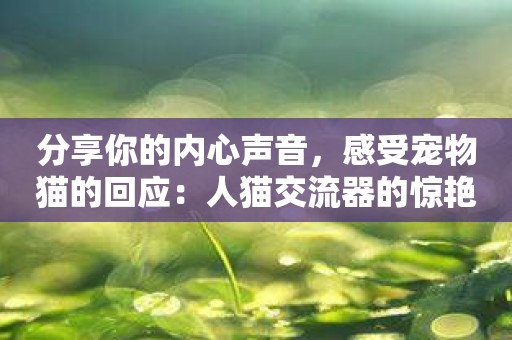 分享你的内心声音，感受宠物猫的回应：人猫交流器的惊艳效果！