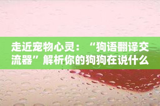 走近宠物心灵：“狗语翻译交流器”解析你的狗狗在说什么。