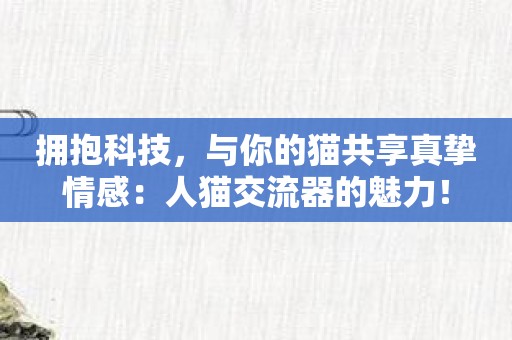 拥抱科技，与你的猫共享真挚情感：人猫交流器的魅力！